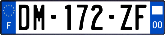 DM-172-ZF