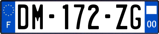 DM-172-ZG