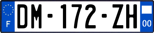 DM-172-ZH