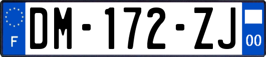 DM-172-ZJ