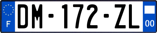 DM-172-ZL