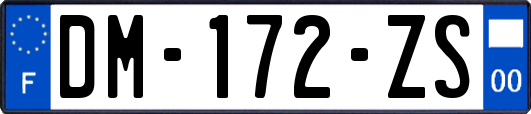 DM-172-ZS