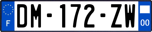 DM-172-ZW