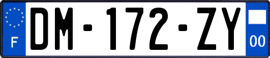 DM-172-ZY