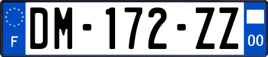 DM-172-ZZ