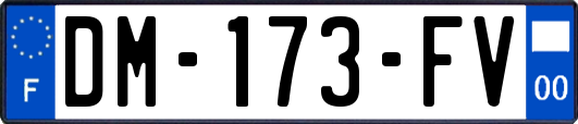 DM-173-FV