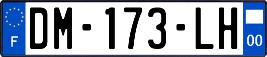 DM-173-LH