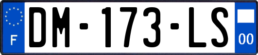 DM-173-LS