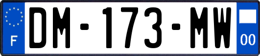 DM-173-MW
