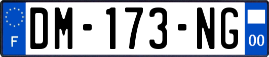 DM-173-NG
