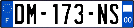 DM-173-NS
