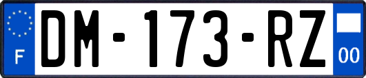 DM-173-RZ