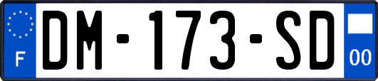 DM-173-SD