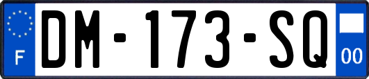 DM-173-SQ