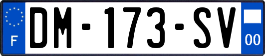 DM-173-SV