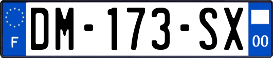 DM-173-SX