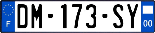 DM-173-SY