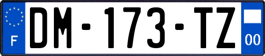 DM-173-TZ