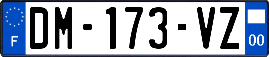 DM-173-VZ