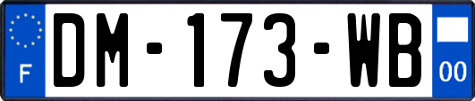 DM-173-WB