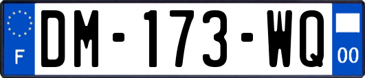 DM-173-WQ