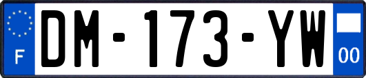 DM-173-YW