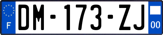 DM-173-ZJ