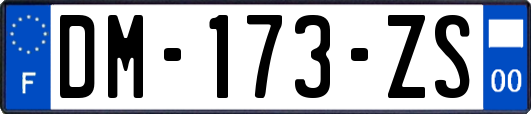 DM-173-ZS