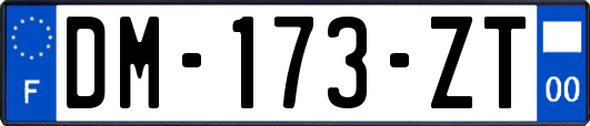 DM-173-ZT