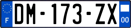 DM-173-ZX