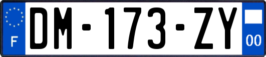 DM-173-ZY