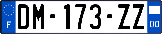 DM-173-ZZ