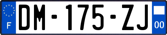 DM-175-ZJ