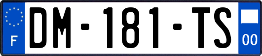 DM-181-TS