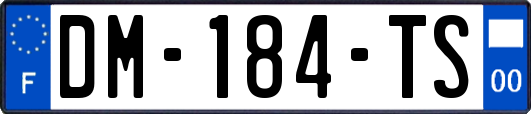 DM-184-TS