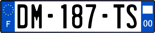 DM-187-TS