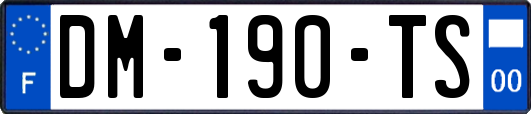 DM-190-TS