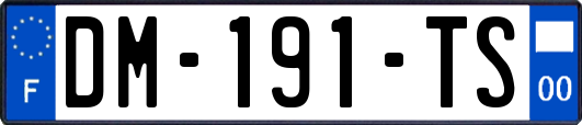 DM-191-TS