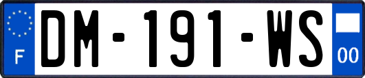 DM-191-WS