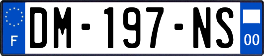 DM-197-NS