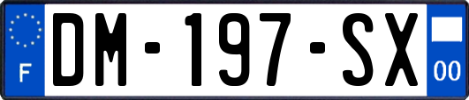 DM-197-SX