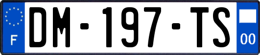 DM-197-TS