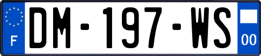 DM-197-WS