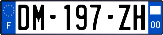 DM-197-ZH