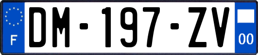 DM-197-ZV