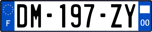 DM-197-ZY