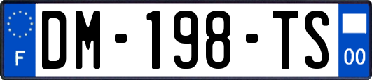 DM-198-TS
