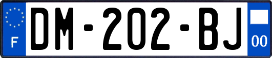 DM-202-BJ