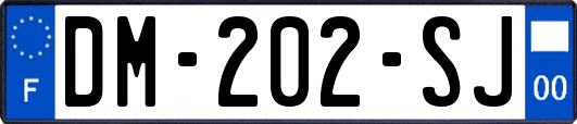 DM-202-SJ