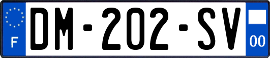 DM-202-SV